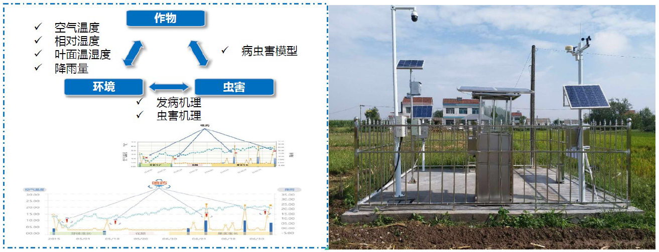 “5G+智慧農(nóng)業(yè)”的農(nóng)業(yè)大數(shù)據(jù)平臺(tái)該怎么做？