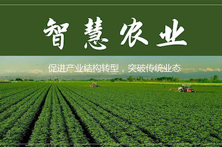 中國農(nóng)業(yè)蛻變的好時機——緊跟智慧農(nóng)業(yè)的步伐，改變傳統(tǒng)農(nóng)業(yè)