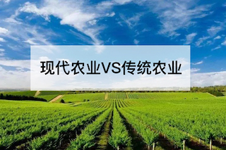 現(xiàn)代農(nóng)業(yè)VS傳統(tǒng)農(nóng)業(yè)，誰會更勝一籌？
