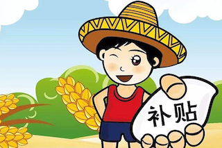 關于2021山東種糧農(nóng)戶農(nóng)業(yè)補貼政策的那點事
