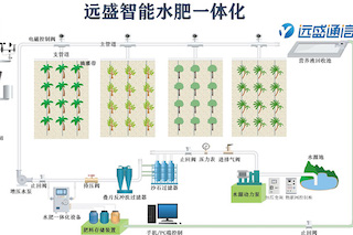 如何選擇水肥一體化設(shè)備？從這幾個(gè)方面入手！
