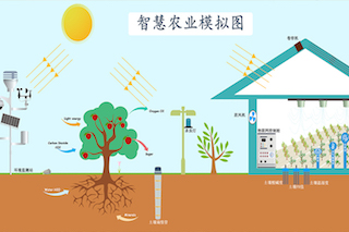 智慧農(nóng)業(yè)種植中，需要用到哪些傳感器？