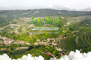 三農(nóng)一號(hào)文件工作重心，再次聚焦鄉(xiāng)村振興