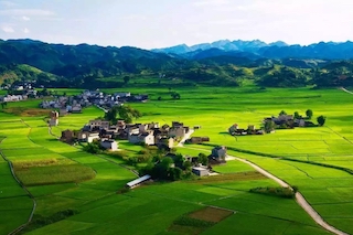 智慧農(nóng)業(yè)進(jìn)入新階段，從這些角度促進(jìn)鄉(xiāng)村振興