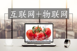 互聯(lián)網(wǎng)時(shí)代的高效農(nóng)業(yè)，你真的了解么？