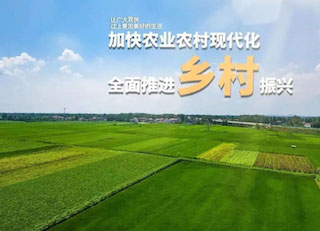 國(guó)家大力發(fā)展鄉(xiāng)村振興，但需要規(guī)避的五種傾向你知道嗎？