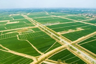 高標準農(nóng)田建設(shè)中的4個問題和4個建議