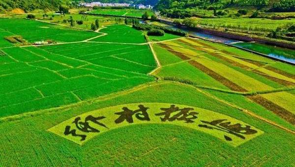 鄉(xiāng)村振興.jpeg