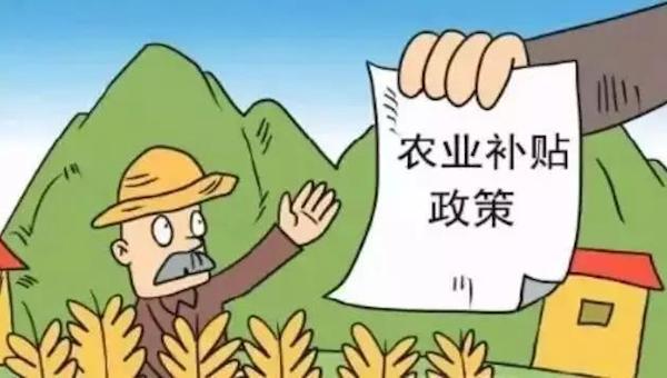 申請農(nóng)業(yè)補(bǔ)貼需注意哪些事項(xiàng).jpeg