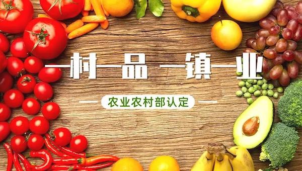 2021年全國一村一品示范鎮(zhèn)申請(qǐng)開始啦.jpeg