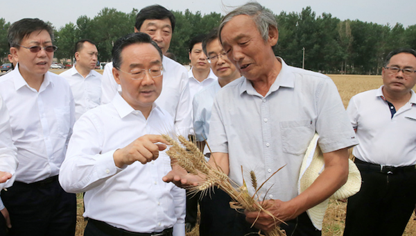 夏糧經(jīng)過國家各部門研判，產(chǎn)量創(chuàng)歷史新高.png