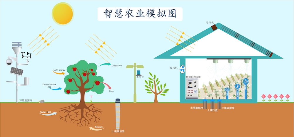 智慧農(nóng)業(yè)種植中，需要用到哪些傳感器.jpg
