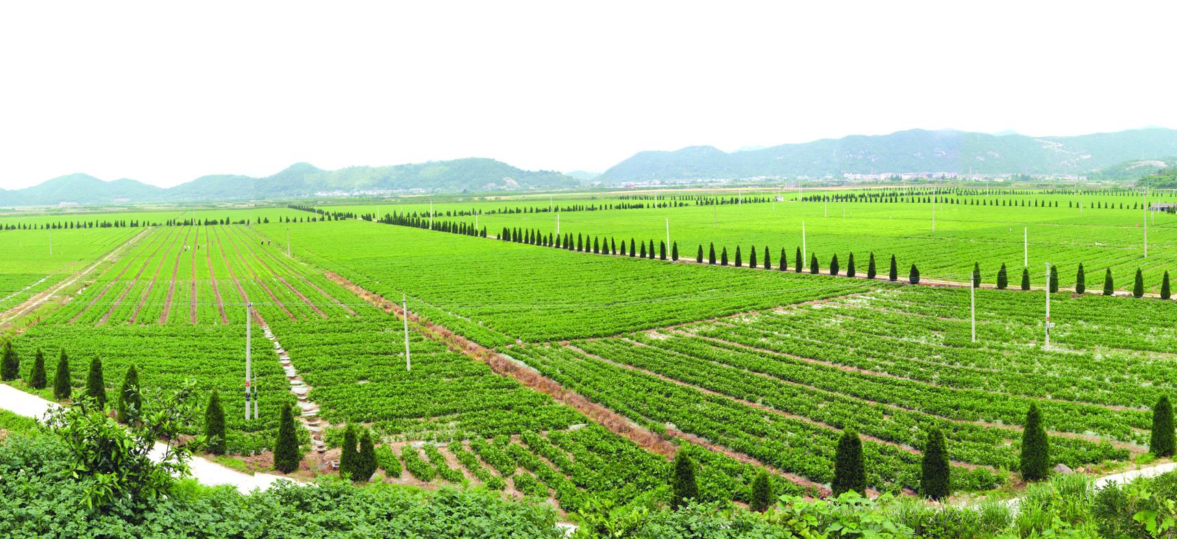 鄉(xiāng)村振興戰(zhàn)略下的智慧農(nóng)業(yè)發(fā)展對策.jpg