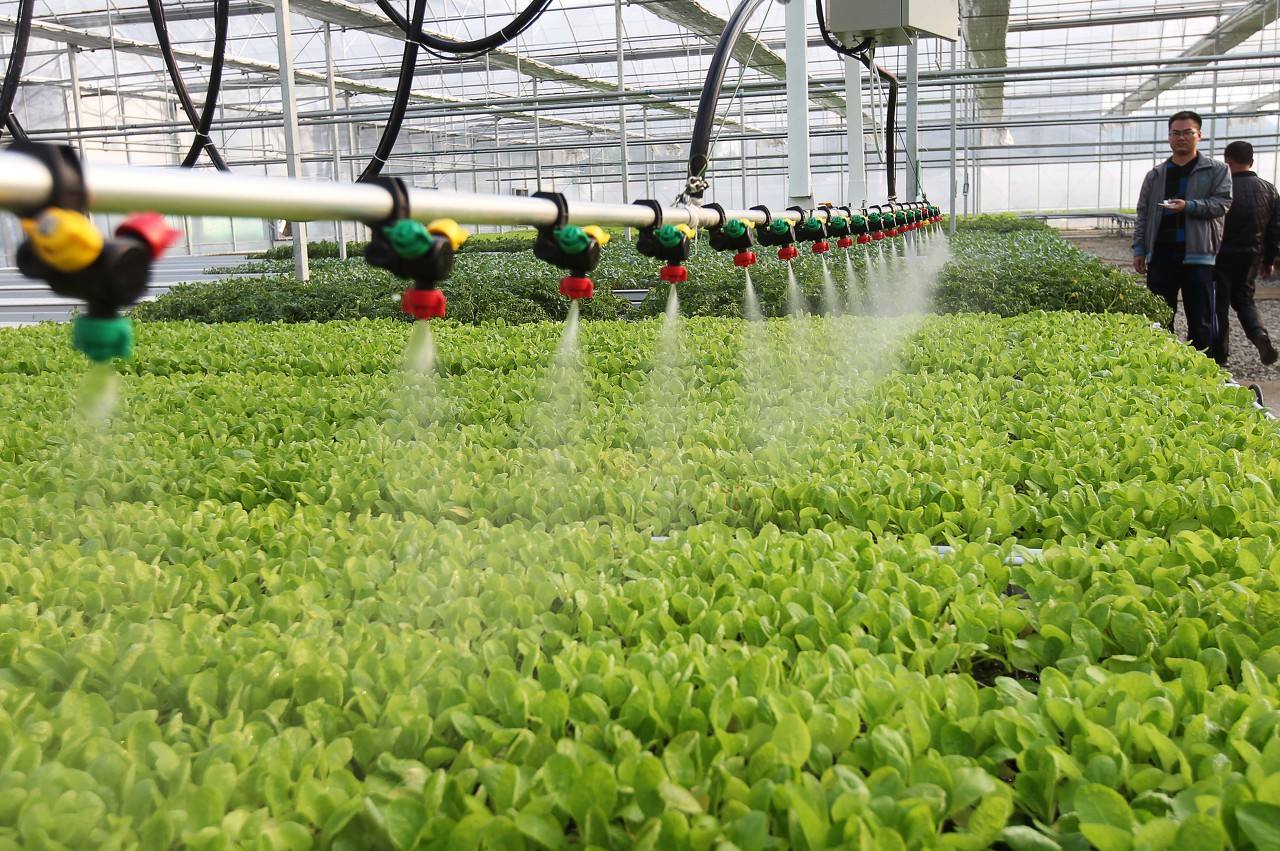 使用水肥一體機對于種植有哪些好處？.jpg
