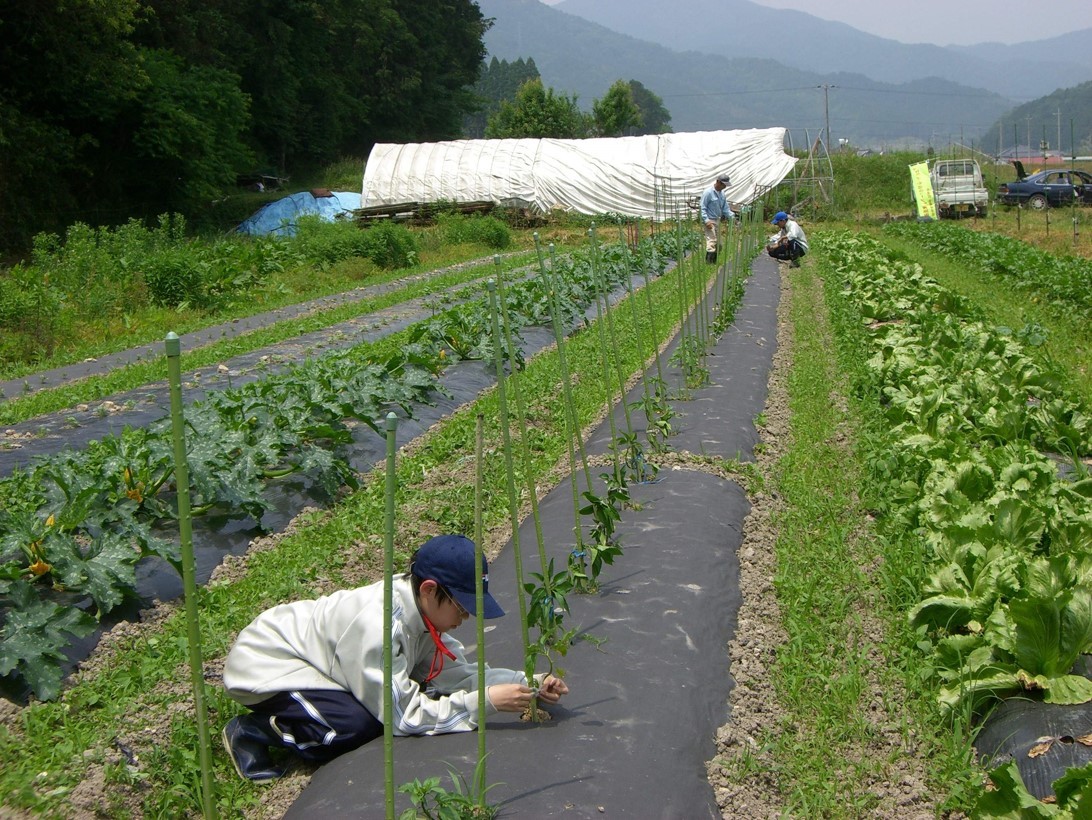 我們可以借鑒美國(guó)、日本的農(nóng)業(yè)發(fā)展模式，尋找屬于自己的農(nóng)業(yè)發(fā)展道路。.jpg